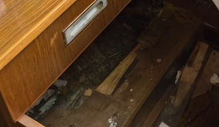 家中书房频繁出现“不速之客”，消防员清理结果太惊人