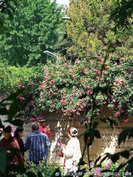 五一来河南处处皆美景