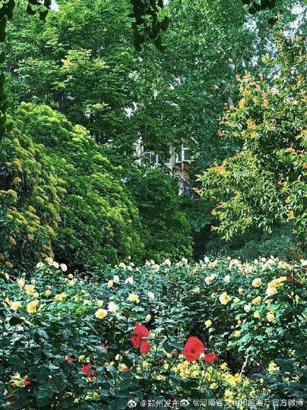 五一来河南处处皆美景