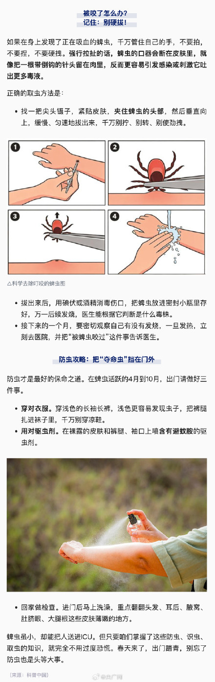 由蜱虫引发的疾病已达20余种