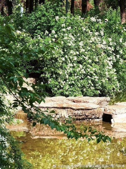 五一来河南处处皆美景