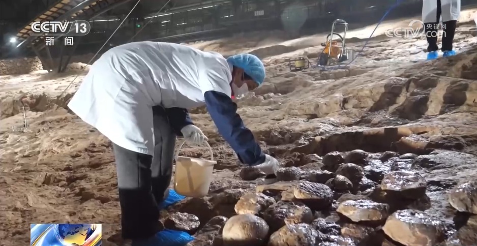 给恐龙蛋化石群穿上“纳米防护服”分几步？