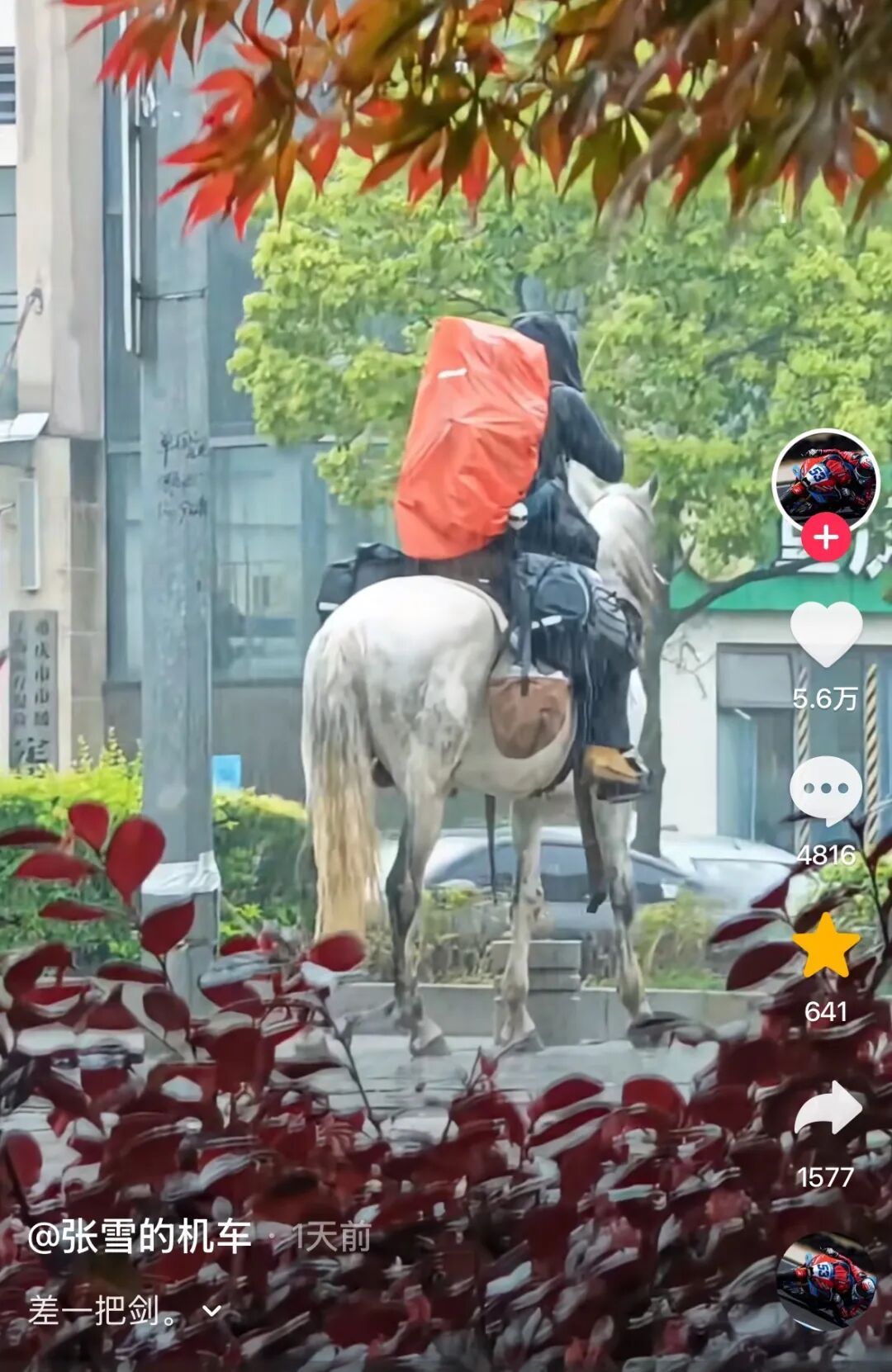 小伙从重庆骑白马去新疆，张雪拍下配文“差一把剑”，当事人：被张雪“偷拍”了