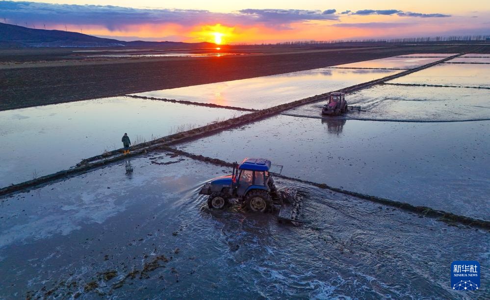 “北大仓”春耕进行时