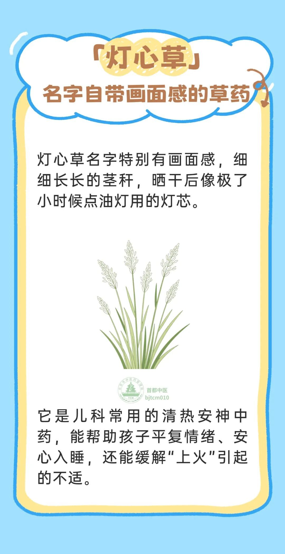 涨知识 | 盘点那些名字有趣的儿科本草