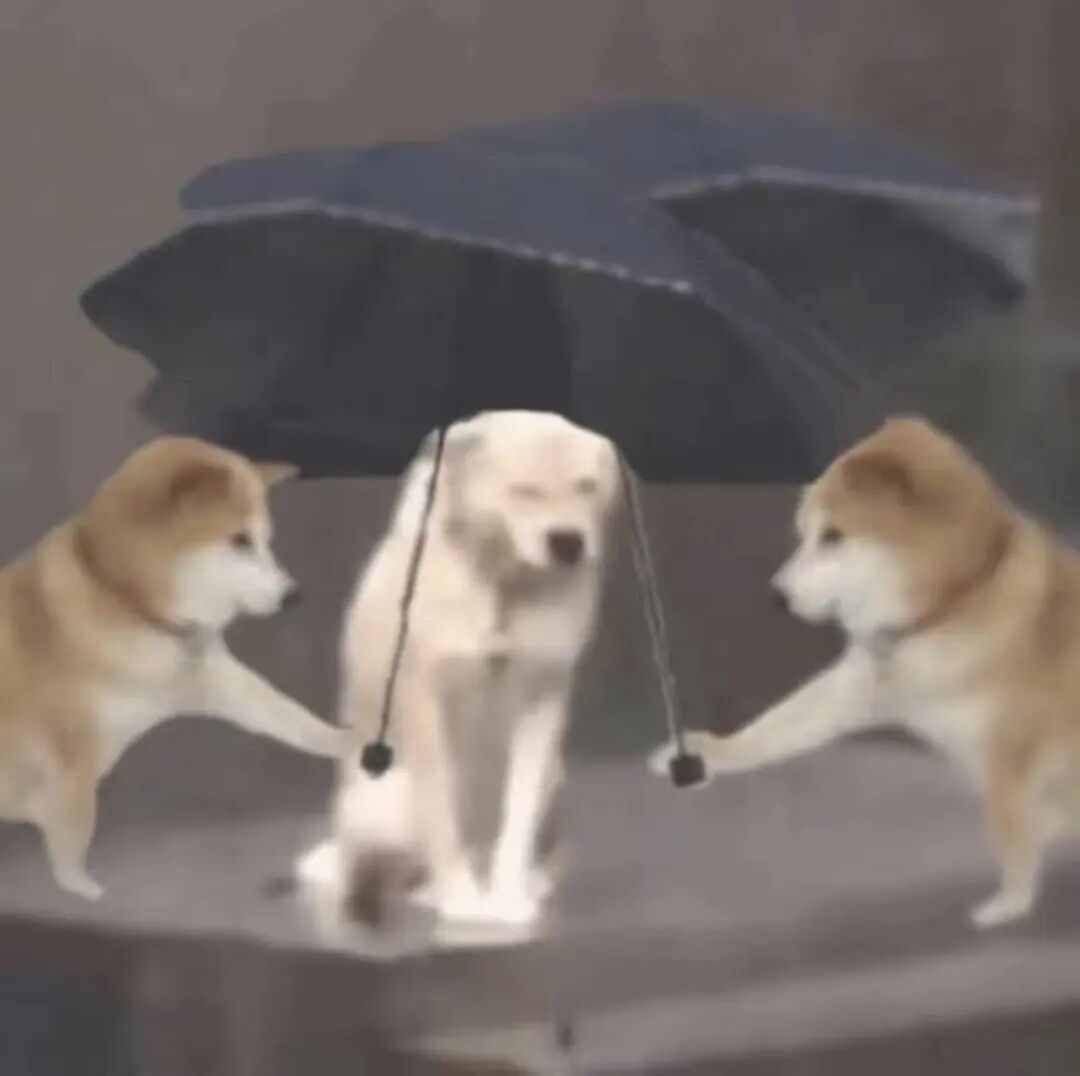 “雨伞羞耻症”上热搜！网友：合上，快合上！