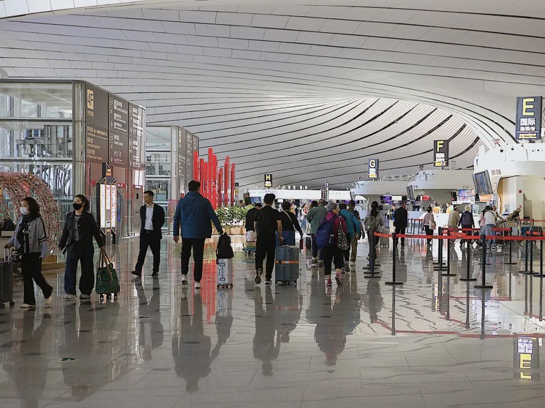 大兴机场五一出行提示！兔、龟、宠物鸟也能一起飞，高峰日期时段→