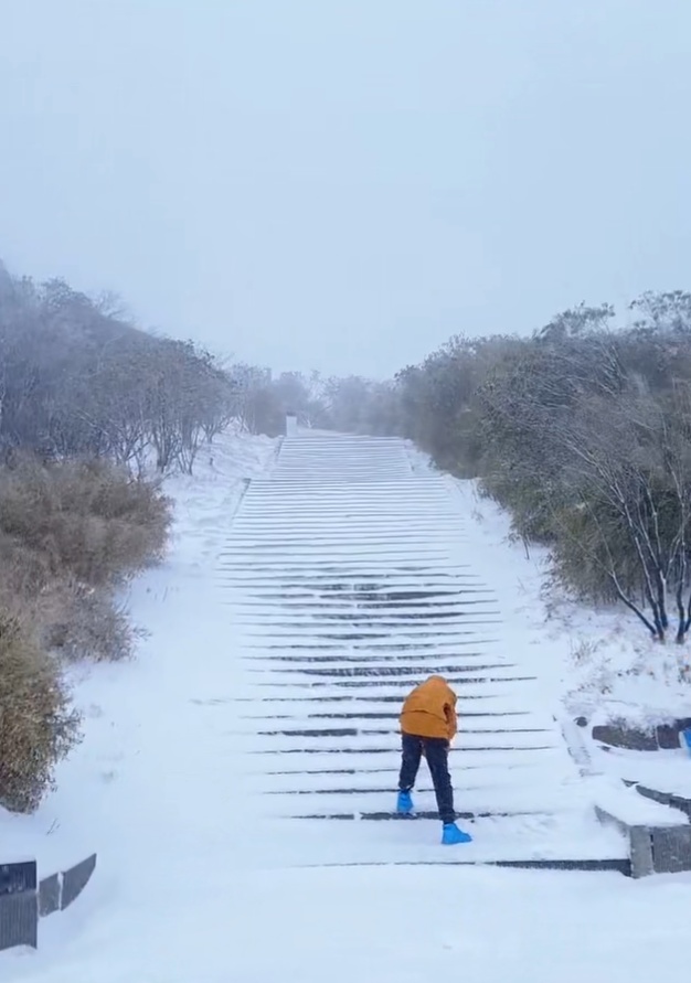 临近五一，神农架突然飘雪引网友疑惑！气象局：属于正常现象