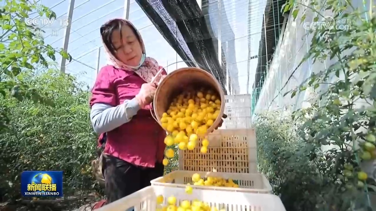 节前市场供应物丰价稳