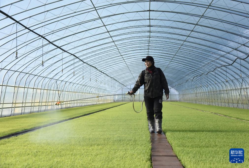 “北大仓”春耕进行时