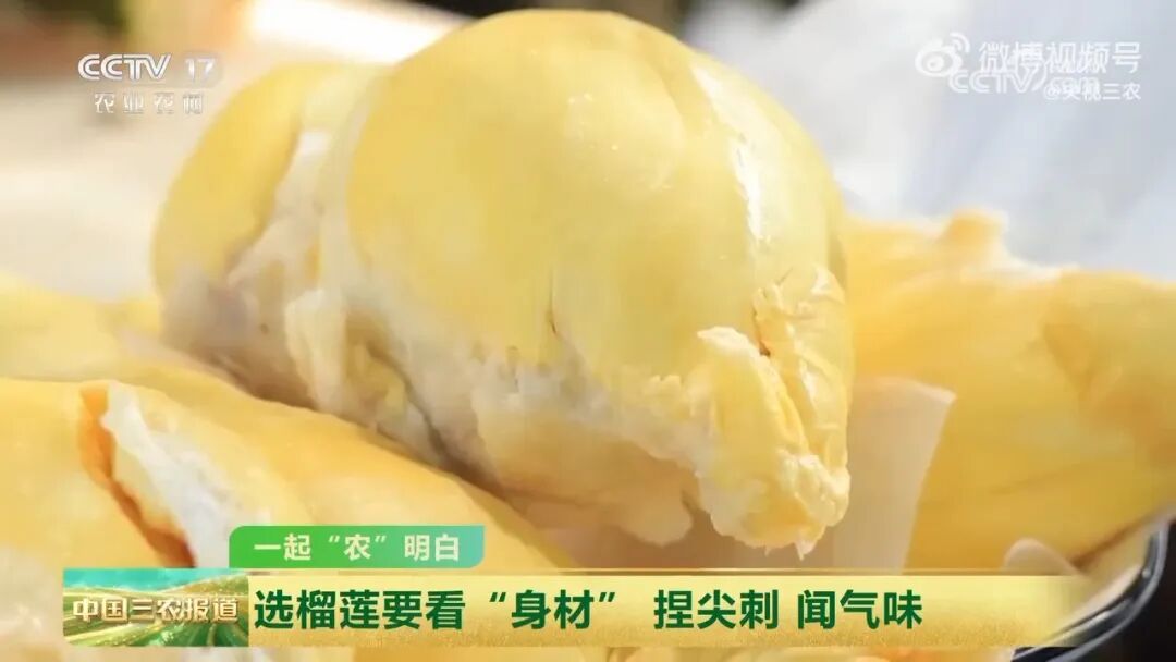 榴莲季来了！如何挑到“报恩榴莲”？这三个技巧很实用