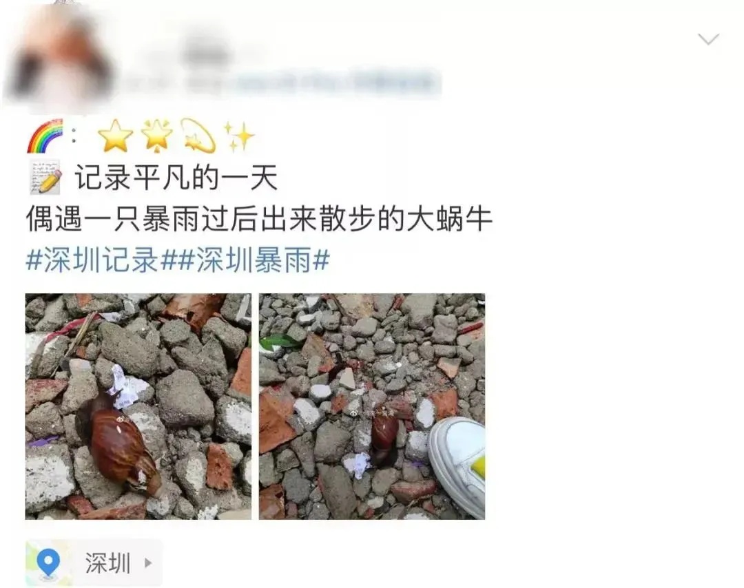 “有毒，快丢掉！”1岁女童小区玩耍，确诊严重脑炎！雨后尤其要注意→