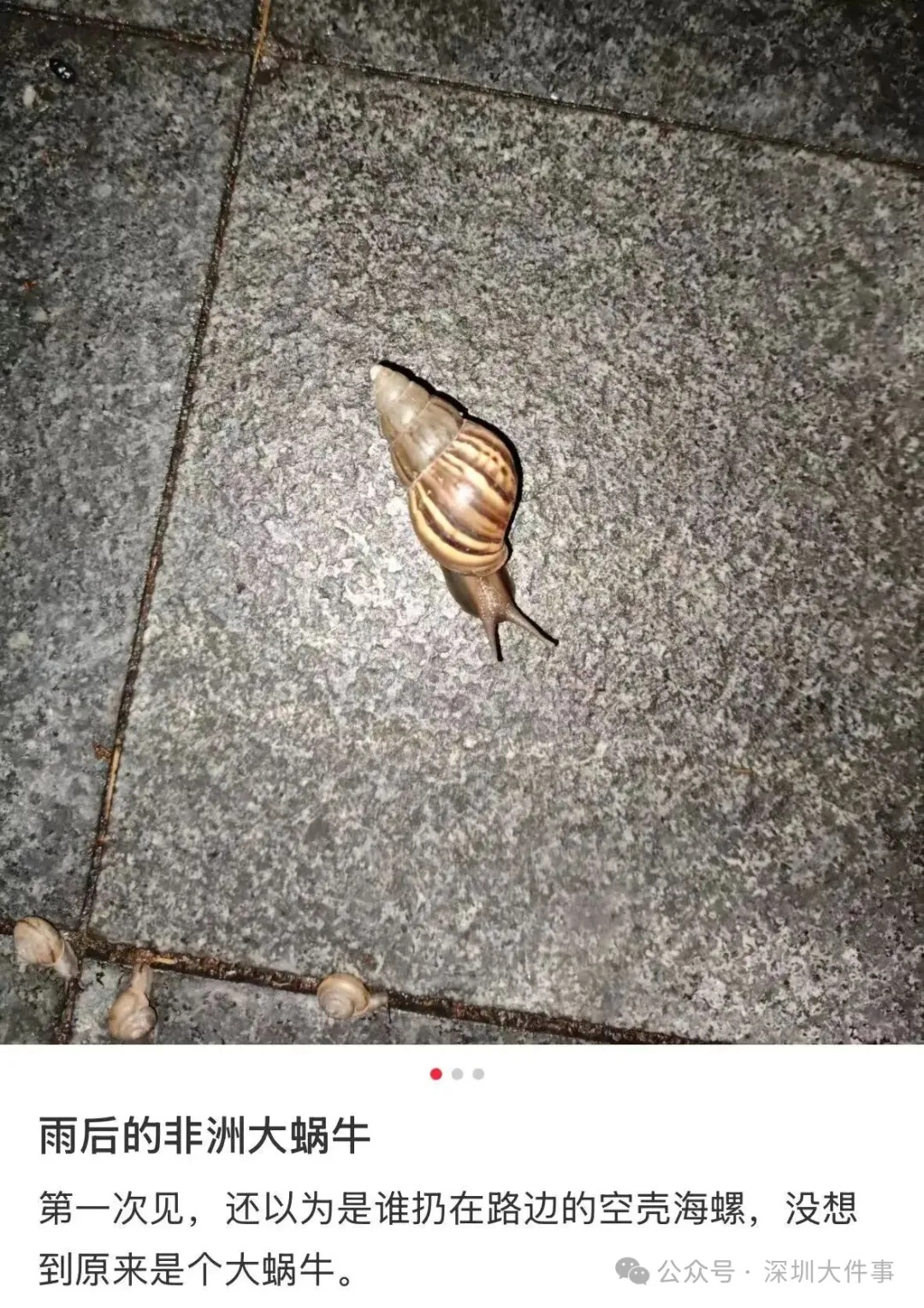 “有毒，快丢掉！”1岁女童小区玩耍，确诊严重脑炎！雨后尤其要注意→