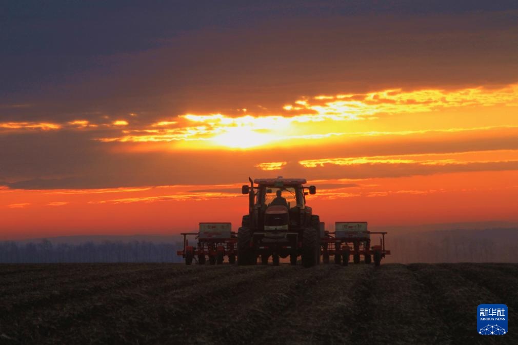 “北大仓”春耕进行时