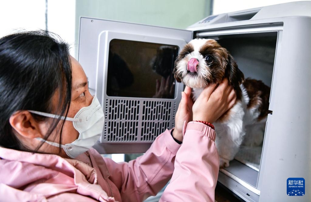 “五一”临近 “高铁快运”助力宠物出行