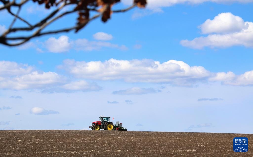 “北大仓”春耕进行时