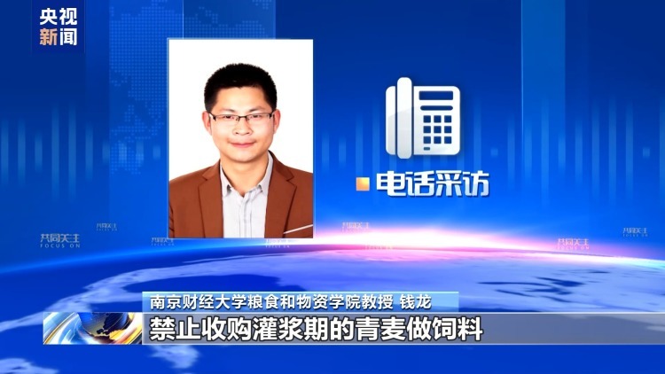 真相来了丨“一亩青小麦卖1500元” 别信！专家：亏本还违法