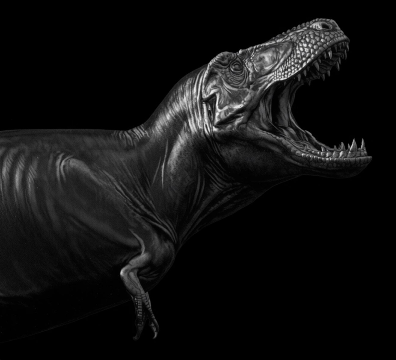 霸王龙化石大陆首展！来国家自然博物馆看中外暴龙首次同台