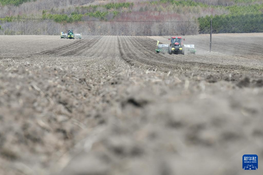 “北大仓”春耕进行时