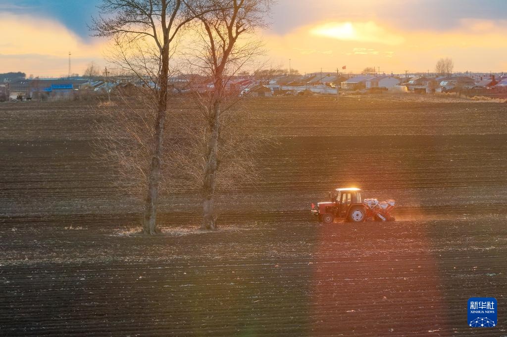“北大仓”春耕进行时