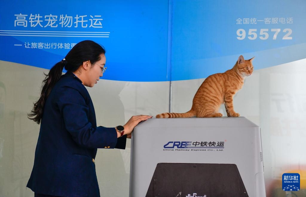 “五一”临近 “高铁快运”助力宠物出行
