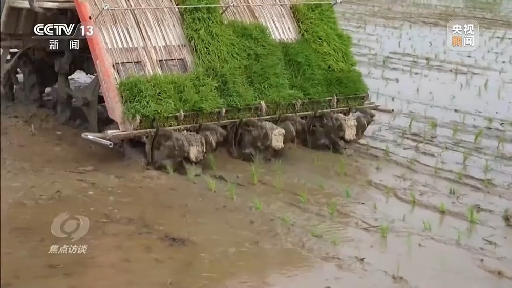 焦点访谈丨储备早、产能稳、调运快……打赢春耕化肥保供战