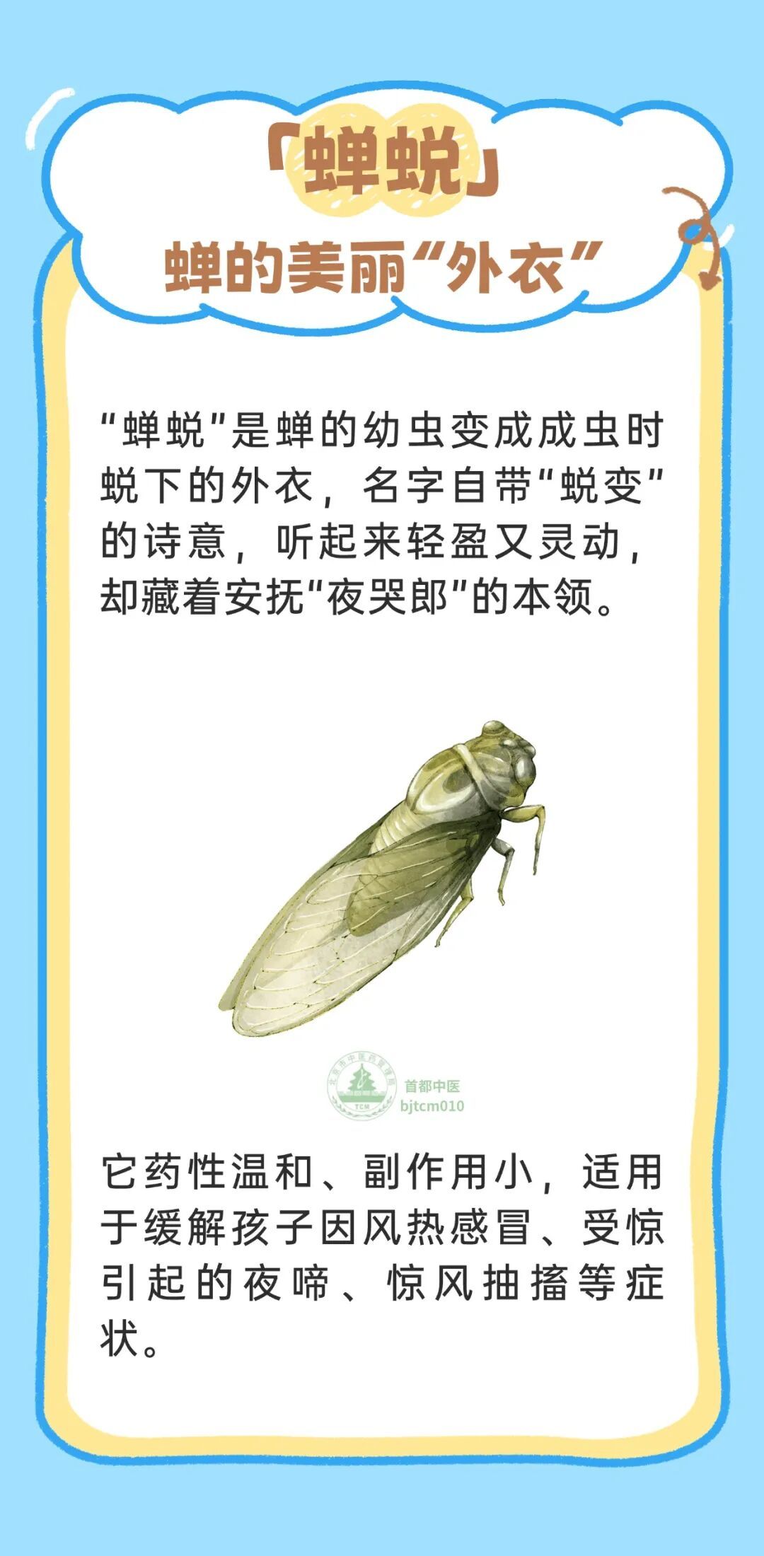 涨知识 | 盘点那些名字有趣的儿科本草