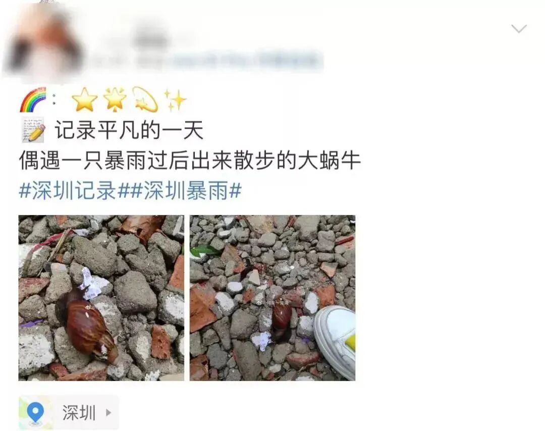 “只是摸了一下”，深圳1岁女童小区玩耍，确诊严重脑炎！最近很多人见到，千万别碰