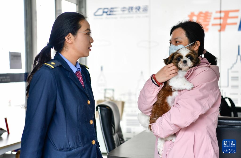 “五一”临近 “高铁快运”助力宠物出行