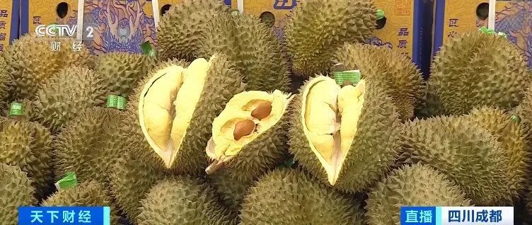 榴莲价格大降！