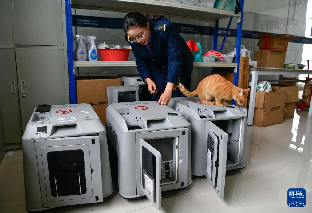 “五一”临近 “高铁快运”助力宠物出行