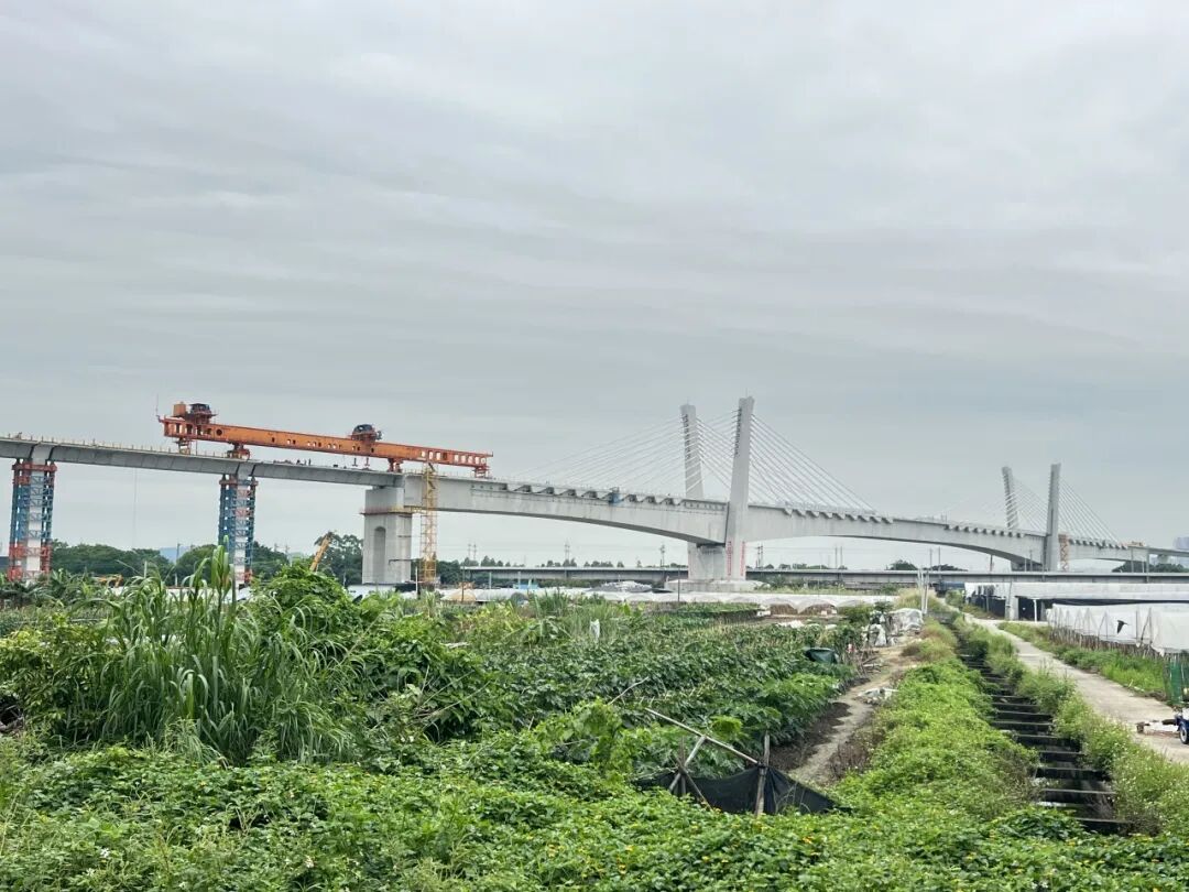 全线贯通！广佛西环城际铁路迎新进展