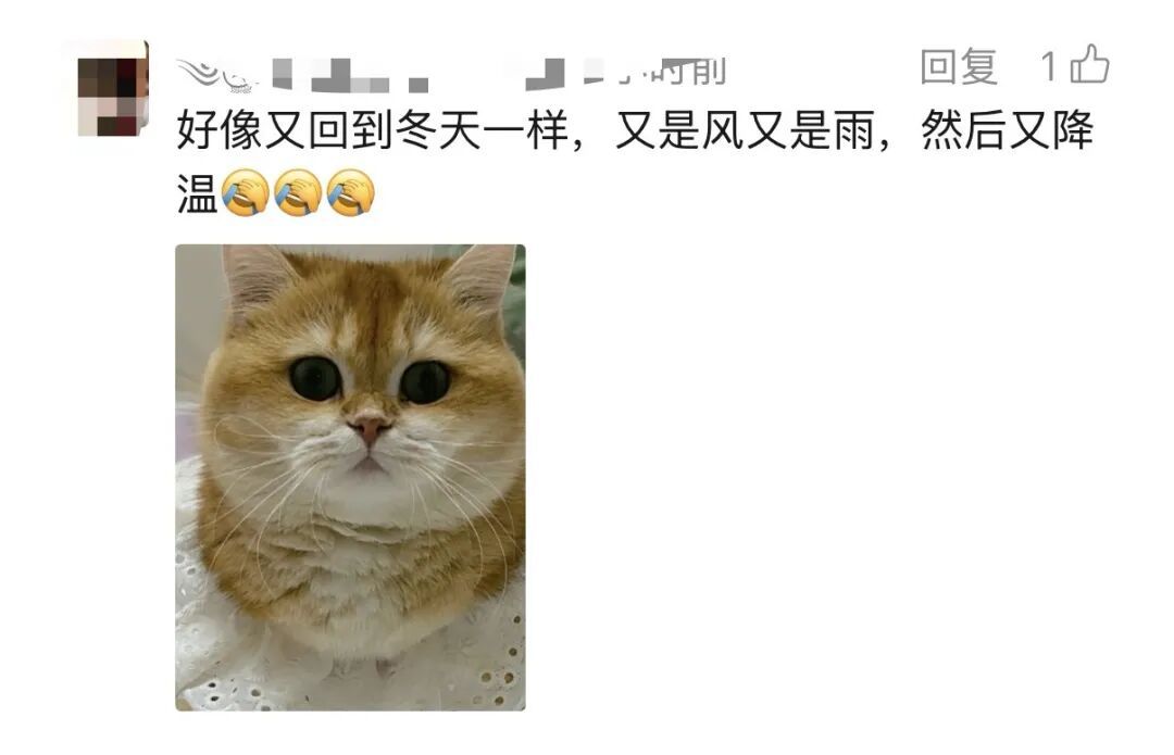 上海今天“一秒返冬”！今天晚高峰还有雨吗？“雨伞羞耻症”冲上热搜