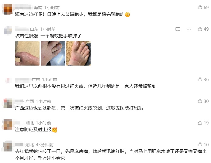 野外看见这种小土包，千万别踩！曾有人被误伤后，出现昏迷休克→