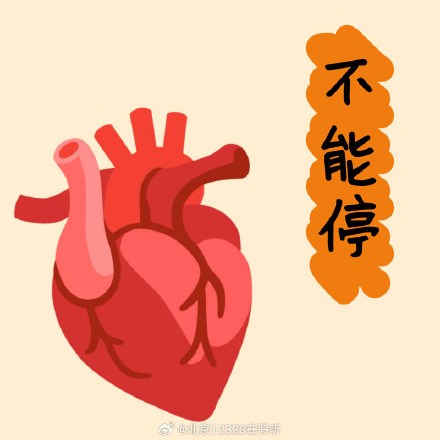 什么是心脏骤停？为什么它如此致命？