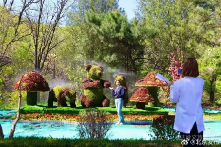 五一上新！八达岭主题花坛惊艳亮相