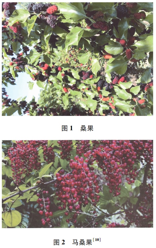 被誉为“21世纪最佳保健水果”，现在吃正好