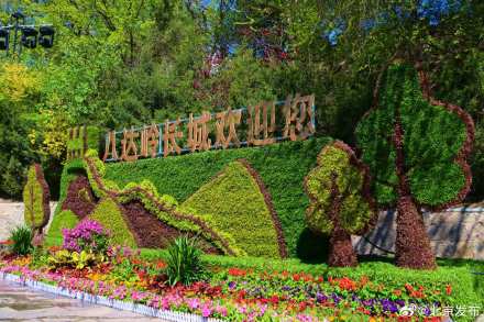 五一上新！八达岭主题花坛惊艳亮相