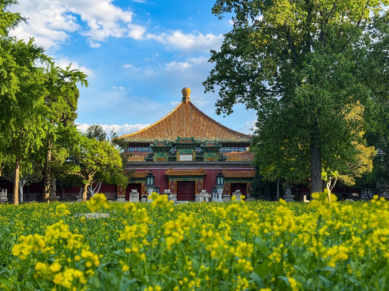 碧空流云下的北京公园有多美？组图来袭