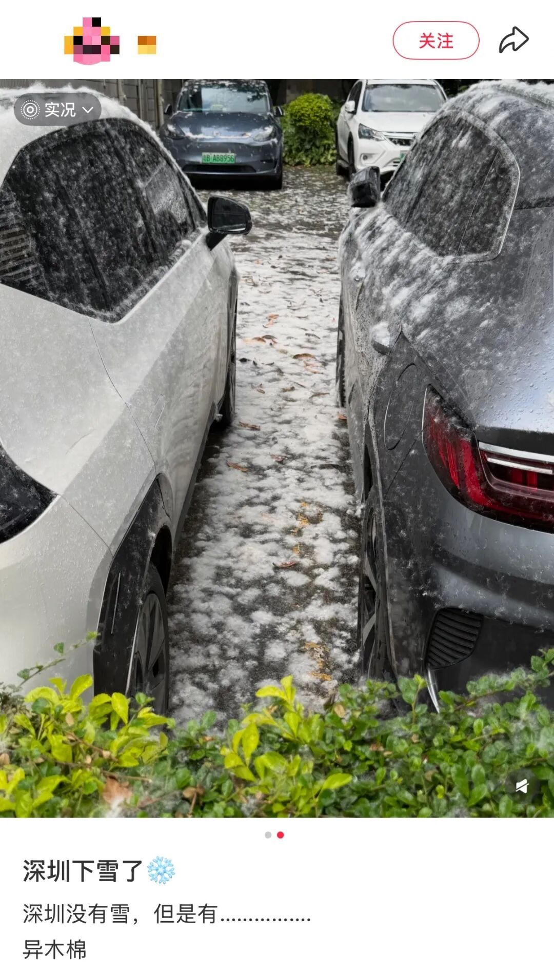 “根本不敢呼吸”！深圳网友：满地都是……提醒→