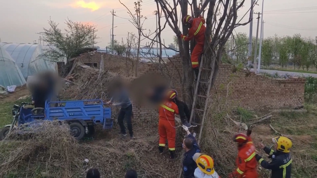 男子被卡树上7小时 北京消防科学施救化险为夷