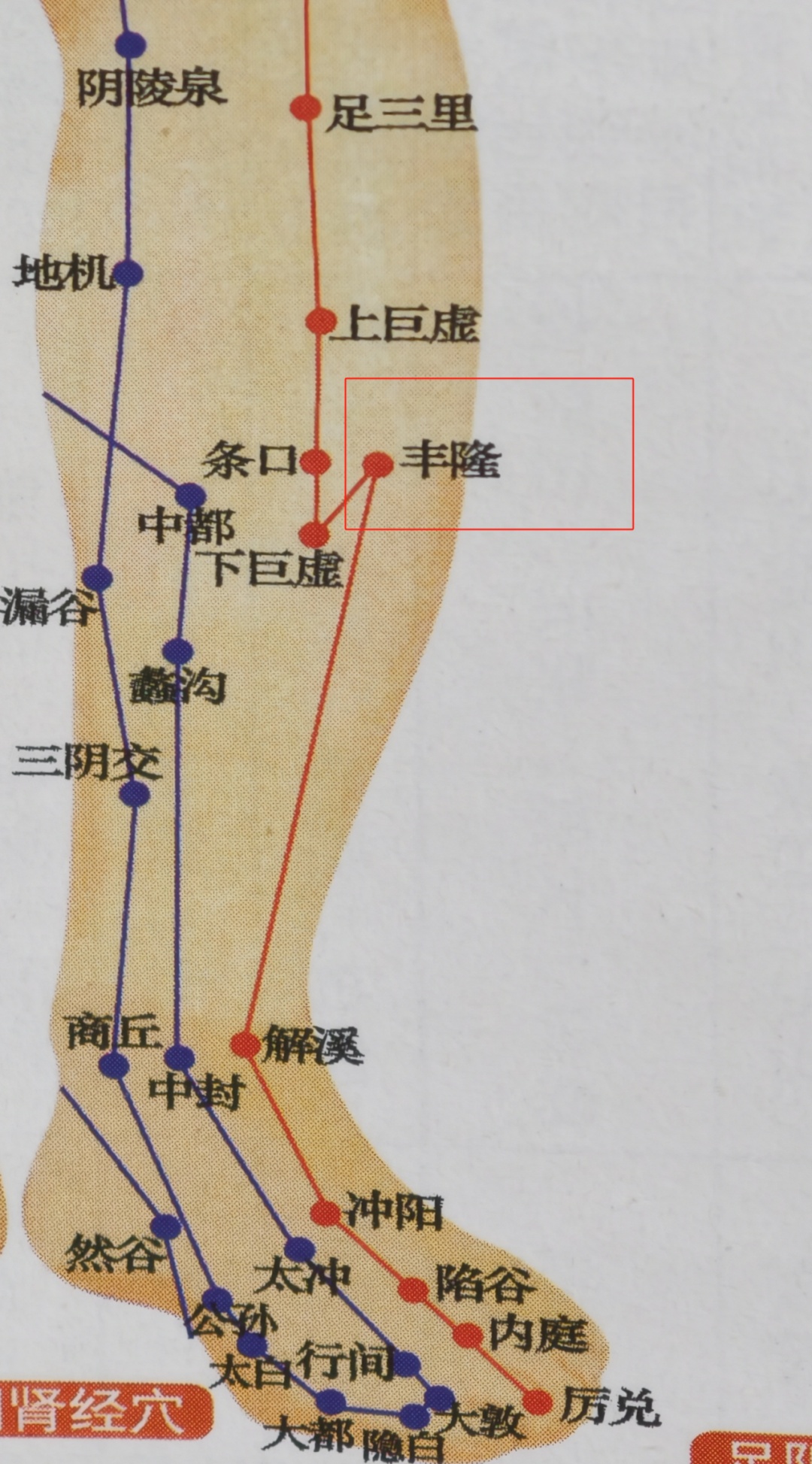 3个黄金穴位，一键健脾祛湿