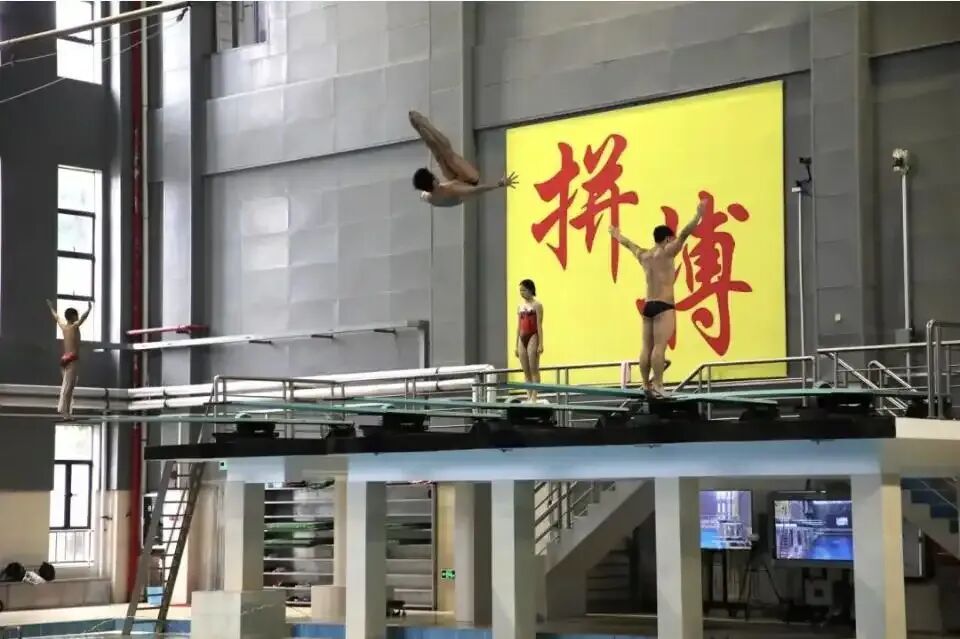 全红婵缺席2026年全国跳水冠军赛，广东二沙体育训练中心：全红婵暂不具备参赛条件