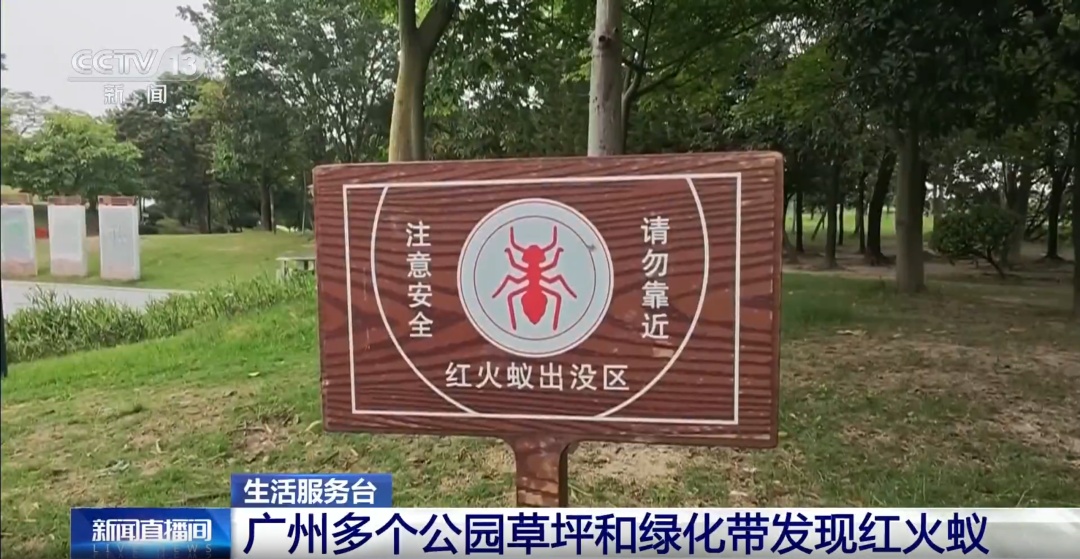 看到这种小土包，千万别碰：严重可致命！浙江也有，发现立即上报