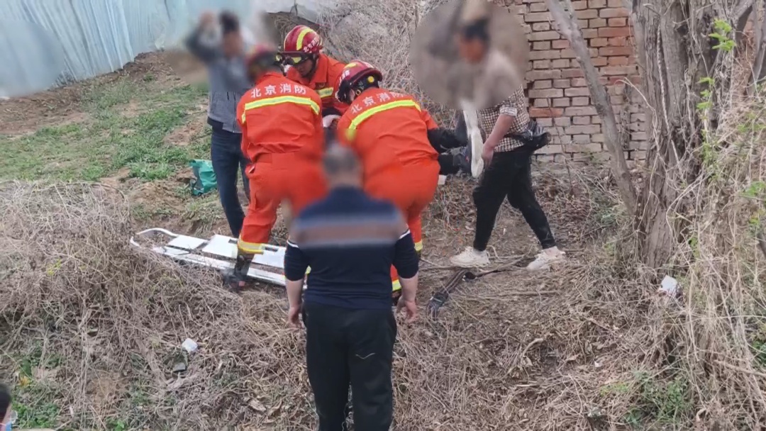 男子被卡树上7小时 北京消防科学施救化险为夷