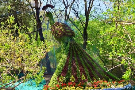 五一上新！八达岭主题花坛惊艳亮相