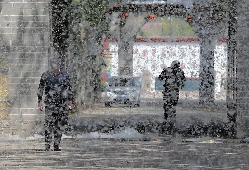 小孩用打火机点燃柳絮玩，短短几秒火势蔓延，邻居251棵树被烧