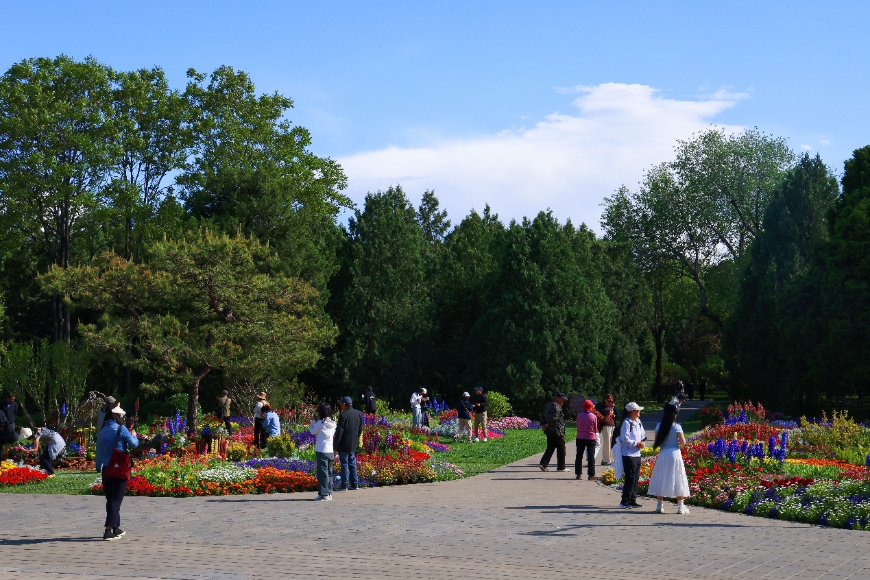 碧空流云下的北京公园有多美？组图来袭