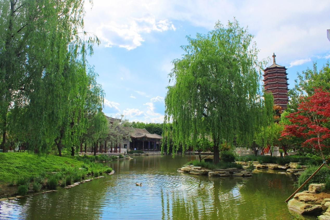 碧空流云下的北京公园有多美？组图来袭