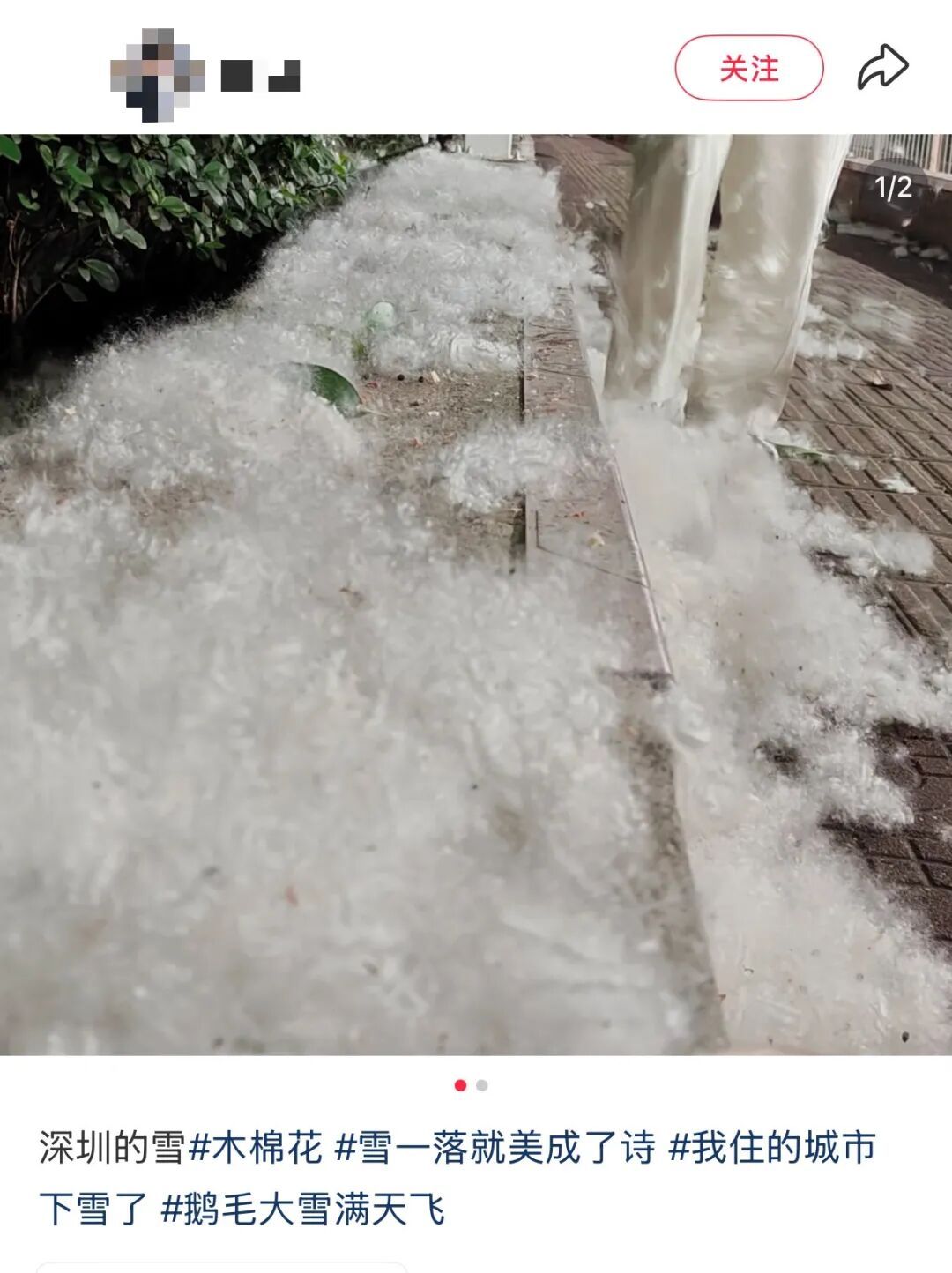 “根本不敢呼吸”！深圳网友：满地都是……提醒→